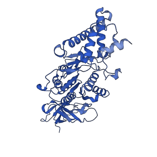 21854_6wnq_E_v1-2
E. coli ATP Synthase State 2a