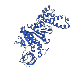 21854_6wnq_F_v1-2
E. coli ATP Synthase State 2a