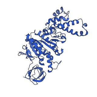 21854_6wnq_F_v1-3
E. coli ATP Synthase State 2a