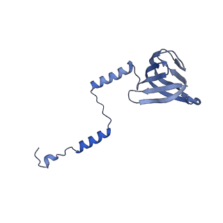 21854_6wnq_H_v1-3
E. coli ATP Synthase State 2a