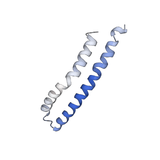 21854_6wnq_I_v1-2
E. coli ATP Synthase State 2a