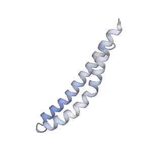 21854_6wnq_J_v1-3
E. coli ATP Synthase State 2a