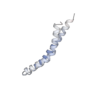 21854_6wnq_L_v1-3
E. coli ATP Synthase State 2a