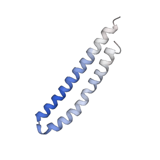 21854_6wnq_M_v1-2
E. coli ATP Synthase State 2a