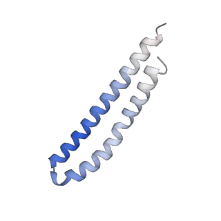 21854_6wnq_M_v1-3
E. coli ATP Synthase State 2a