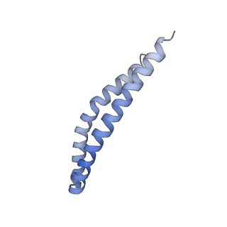 21854_6wnq_O_v1-2
E. coli ATP Synthase State 2a