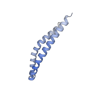 21854_6wnq_O_v1-3
E. coli ATP Synthase State 2a