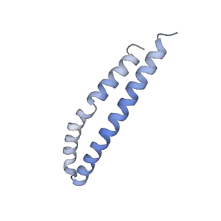 21854_6wnq_P_v1-2
E. coli ATP Synthase State 2a