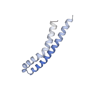 21854_6wnq_Q_v1-2
E. coli ATP Synthase State 2a