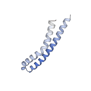 21854_6wnq_Q_v1-3
E. coli ATP Synthase State 2a