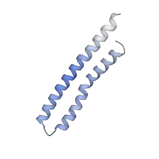 21854_6wnq_R_v1-3
E. coli ATP Synthase State 2a