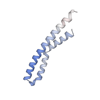 21854_6wnq_S_v1-3
E. coli ATP Synthase State 2a