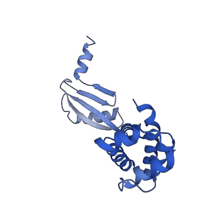 21854_6wnq_W_v1-2
E. coli ATP Synthase State 2a