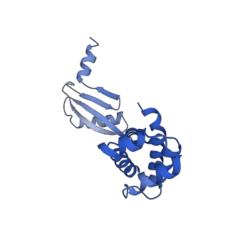 21854_6wnq_W_v1-3
E. coli ATP Synthase State 2a