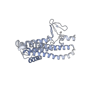 21854_6wnq_a_v1-2
E. coli ATP Synthase State 2a