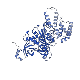 21855_6wnr_C_v1-2
E. coli ATP synthase State 3b