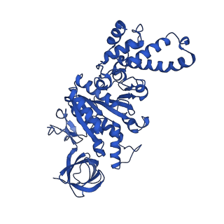 21855_6wnr_D_v1-3
E. coli ATP synthase State 3b