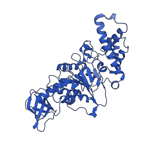 21855_6wnr_E_v1-3
E. coli ATP synthase State 3b