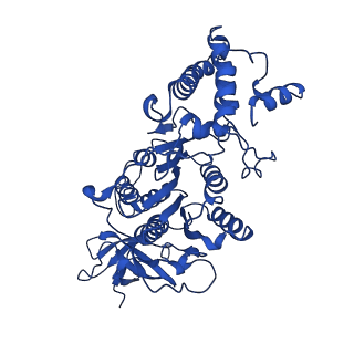 21855_6wnr_F_v1-2
E. coli ATP synthase State 3b