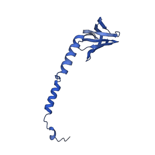 21855_6wnr_H_v1-2
E. coli ATP synthase State 3b
