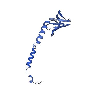 21855_6wnr_H_v1-3
E. coli ATP synthase State 3b