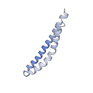21855_6wnr_I_v1-2
E. coli ATP synthase State 3b