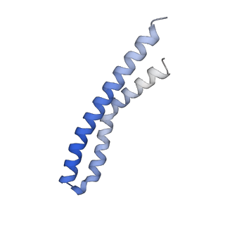 21855_6wnr_J_v1-2
E. coli ATP synthase State 3b