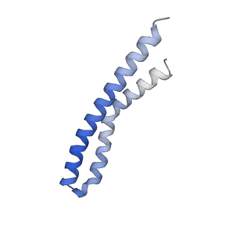 21855_6wnr_J_v1-3
E. coli ATP synthase State 3b