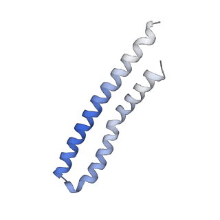 21855_6wnr_L_v1-3
E. coli ATP synthase State 3b