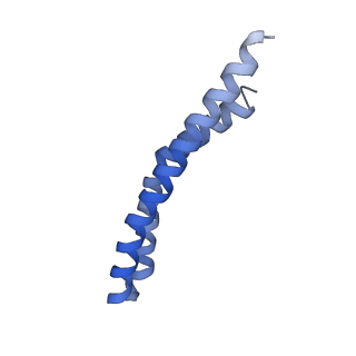 21855_6wnr_M_v1-3
E. coli ATP synthase State 3b