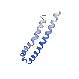 21855_6wnr_N_v1-2
E. coli ATP synthase State 3b