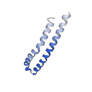 21855_6wnr_N_v1-3
E. coli ATP synthase State 3b