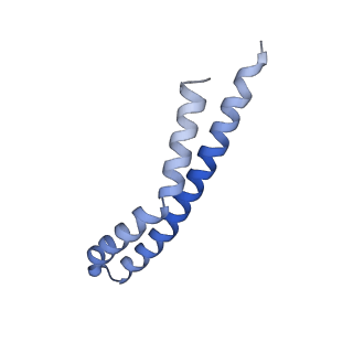 21855_6wnr_O_v1-2
E. coli ATP synthase State 3b