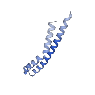 21855_6wnr_O_v1-3
E. coli ATP synthase State 3b