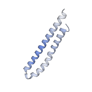 21855_6wnr_Q_v1-2
E. coli ATP synthase State 3b