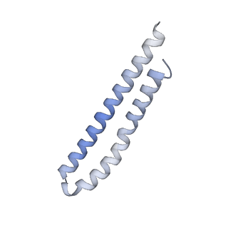 21855_6wnr_Q_v1-3
E. coli ATP synthase State 3b