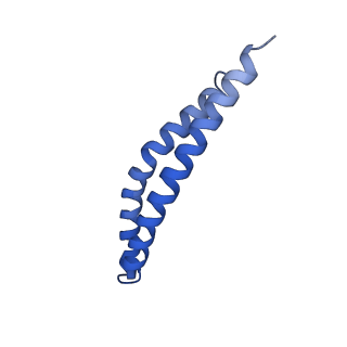 21855_6wnr_R_v1-2
E. coli ATP synthase State 3b