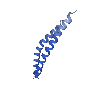 21855_6wnr_R_v1-3
E. coli ATP synthase State 3b