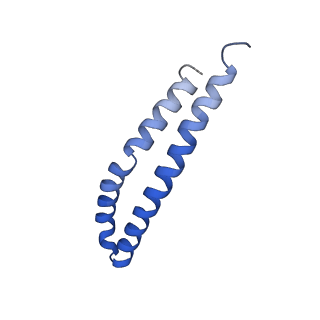 21855_6wnr_S_v1-3
E. coli ATP synthase State 3b