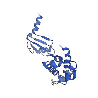 21855_6wnr_W_v1-2
E. coli ATP synthase State 3b