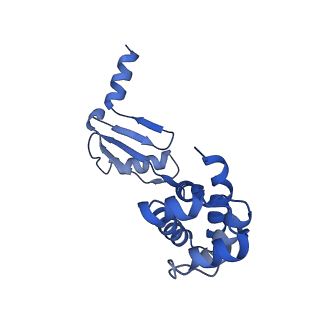 21855_6wnr_W_v1-3
E. coli ATP synthase State 3b