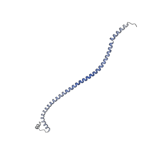 21855_6wnr_X_v1-3
E. coli ATP synthase State 3b