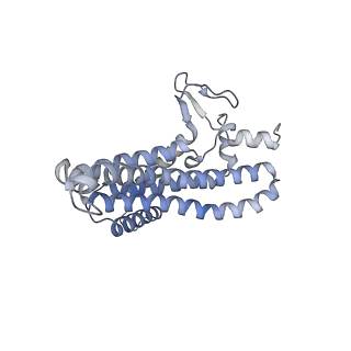 21855_6wnr_a_v1-2
E. coli ATP synthase State 3b
