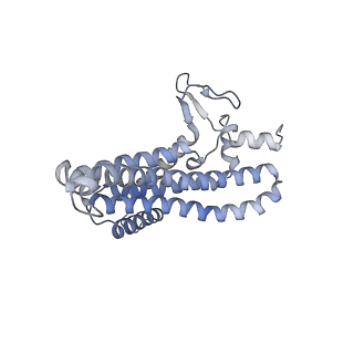 21855_6wnr_a_v1-3
E. coli ATP synthase State 3b