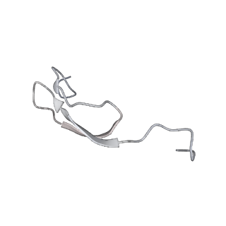 21856_6wnt_A_v1-1
50S ribosomal subunit without free 5S rRNA and perturbed PTC