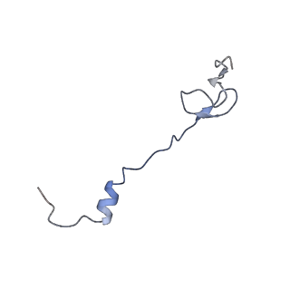 21856_6wnt_B_v1-0
50S ribosomal subunit without free 5S rRNA and perturbed PTC