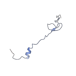 21856_6wnt_B_v1-1
50S ribosomal subunit without free 5S rRNA and perturbed PTC