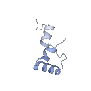 21856_6wnt_D_v1-0
50S ribosomal subunit without free 5S rRNA and perturbed PTC