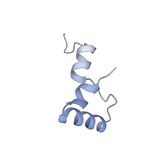 21856_6wnt_D_v1-1
50S ribosomal subunit without free 5S rRNA and perturbed PTC