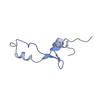 21856_6wnt_E_v1-0
50S ribosomal subunit without free 5S rRNA and perturbed PTC